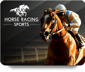VF555 Bet Online: Exploring Popular Betting Options
